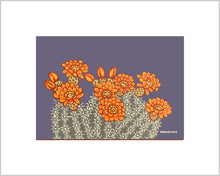 Load image into Gallery viewer, Claret cup hedgehog ~ Ready to frame
