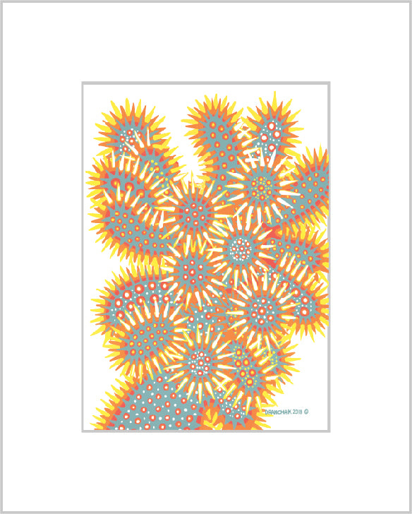 Cholla - Ready to Frame