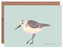Load image into Gallery viewer, Sandpiper ~ Card
