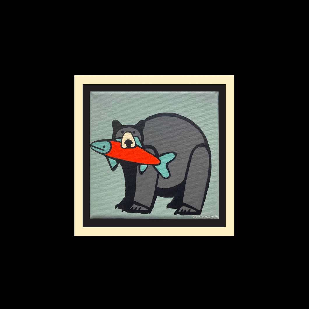 Black Bear 250 - Original 6