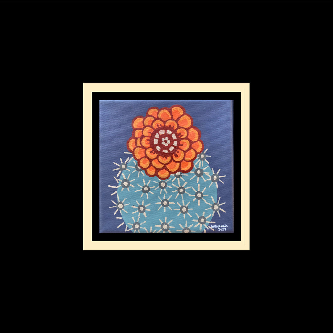 Cactus flower #21 - Original 6
