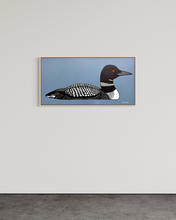 Load image into Gallery viewer, Loon 1 - Original - 18"x36"
