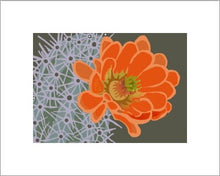 Load image into Gallery viewer, Claret Cup Hedgehog ~ Ready to frame - Dranchak Studio
