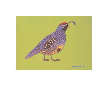 Gambel's Quail ~ Ready to frame - Dranchak Studio