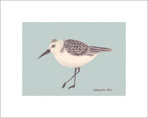 Sandpiper ~ Ready to frame - Dranchak Studio