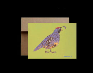 Gambel's Quail ~ Card