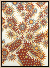 Load image into Gallery viewer, Cholla #22 - Original 30&quot;x40&quot;
